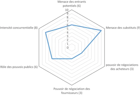 Tableau 3 : Hexagone sectoriel des 5 (+1) forces de Porter 