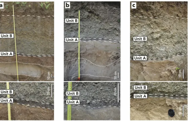 Fig. 2: Representative photographs of the Bellefontaine deposits in Martinique at sites (from left to  right) 141, 185 and 184