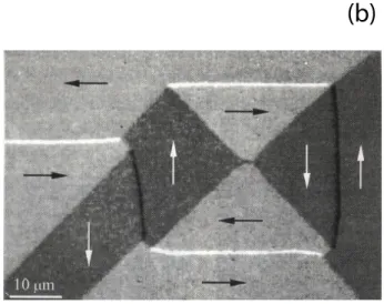 Figure 4: (a) Fe-27%Co sheet [7]; (100)-oriented silicon-iron crystal [8] - Kerr microscopy.