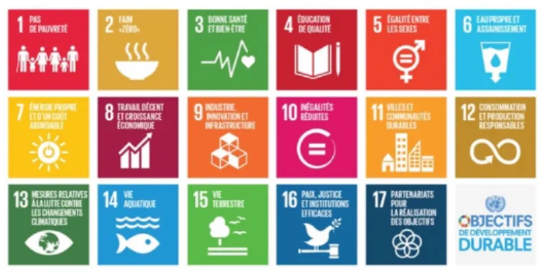 Figure 1 : Les 17 objectifs du développement durable 