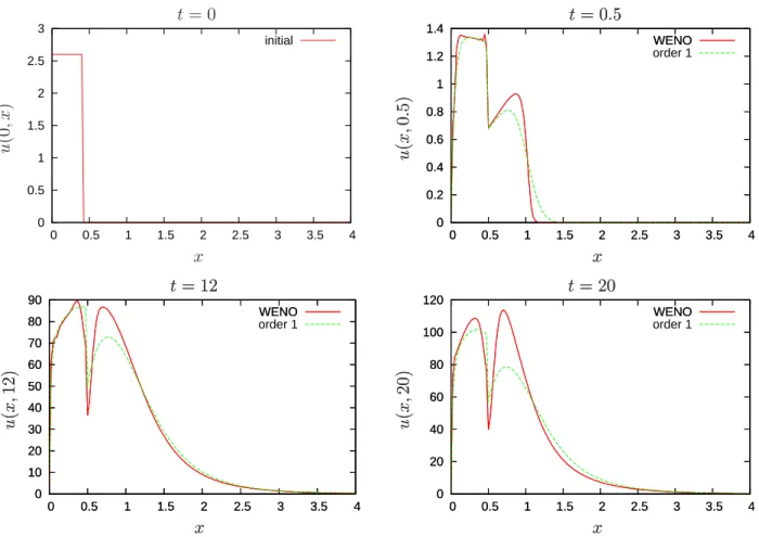 Figure 6: Comparison between the WENO scheme and a first order scheme for the initial size dis- dis-tribution (24), with the depolymerization value k off = 8 × 10 −6 s −1 and the flux splitting parameter λ = 0.5