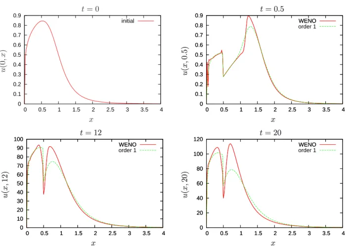 Figure 7: Comparison between the WENO scheme and a first order scheme for a regular initial size distribution, with the depolymerization value k off = 8 × 10 −6 s −1 and the flux splitting parameter λ = 0.5