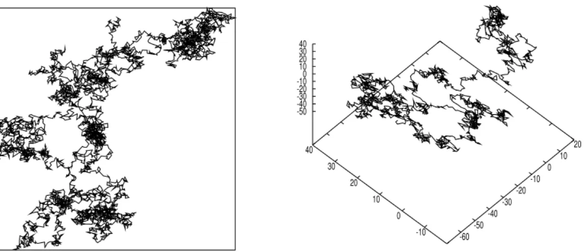 Figure 2.2: Brownian motion in dimension 2 and 3.