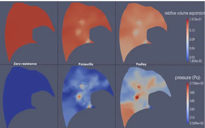 Figure 11: relative volume expansion from the reference state and effective pressure (33) magnitude maps on a left lung  slice