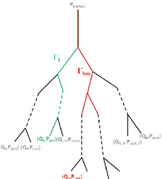 Figure 1: schematic tracheo-bronchial tree representation, from the trachea down to the N exits through each path   (example in green)