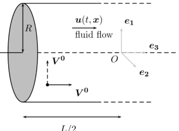 Figure 3. Initial veloity V 0 for the omputations : solid line for 4.1, dashed line for 4.2 and following.