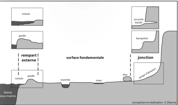 Figure 14. Terminologie des modelés des plates-formes d’érosion marine volcanique (source   : Etienne, 2007)