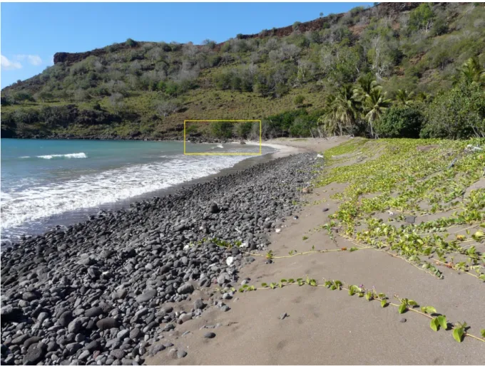Figure 15. Plage mixte en Baie de Motuhee, Nuku Hiva. Le bas de plage est occupé par un dépôt de galets et blocs lié à  l’évacuation de la fraction sableuse par les courants de dérive littorale et d’arrachement ; le haut de plage est sableux et formé  par 