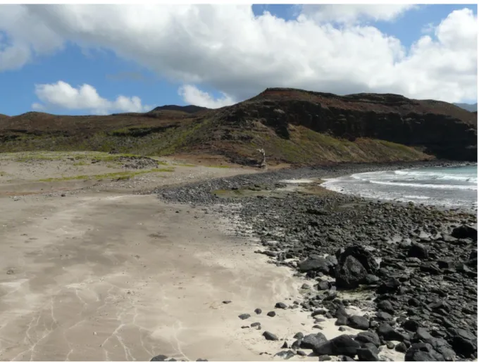 Figure 18. Système plage-dune de Manihina, Ua Huka. La plage est mixte et présente une succession beachrock/plage à  blocs/ plage de sable/ dune