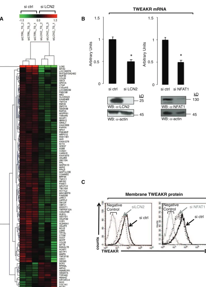 Figure 3 Gaudineau et  al.  