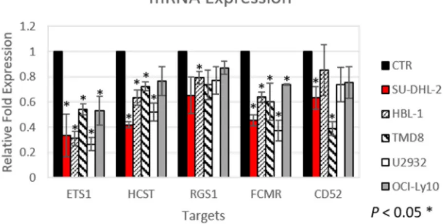 Figure 1. Knockdown of ETS1 reduces the expression of genes with important functions in normal B  cells and DLBCL cells