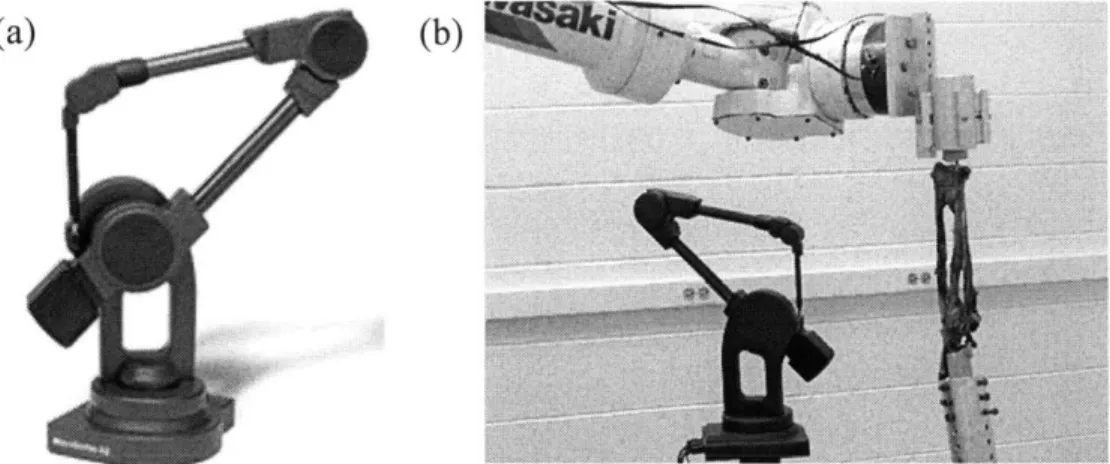 Figure 4-4 (a)  The Microscribe  3DX  digitizer,  made by Immersion  Corporation (San  Jose,  CA),  was  used  to trace  the muscle insertions,  origins,  and lines  of action,  and bony  geometry  of the  specimen