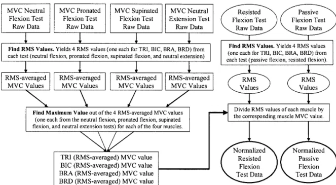 Figure 6-4.  This  flow  chart depicts  the process  by which  the  raw EMG data was  processed  and normalized.