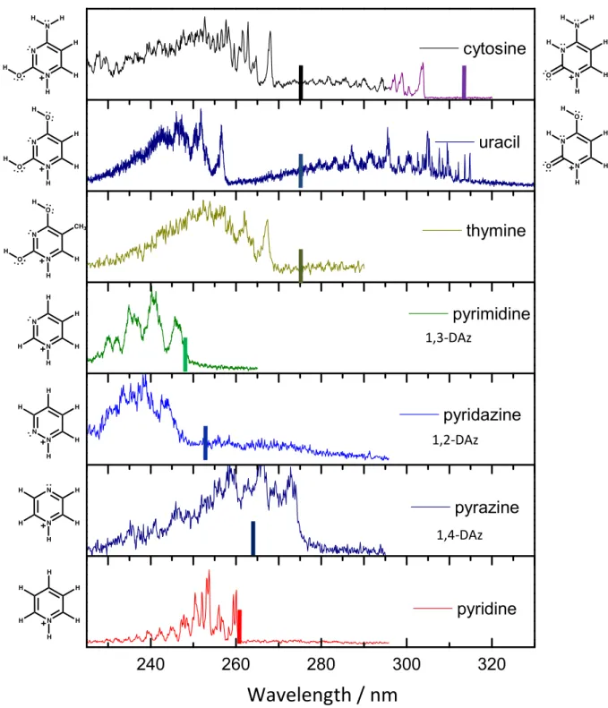Fig. 1: Photofragmentation spectra of protonated DNA/RNA pyrimidine bases, 1,2-; 1,3- and  1,4-  protonated  diazine  and  protonated  pyridine