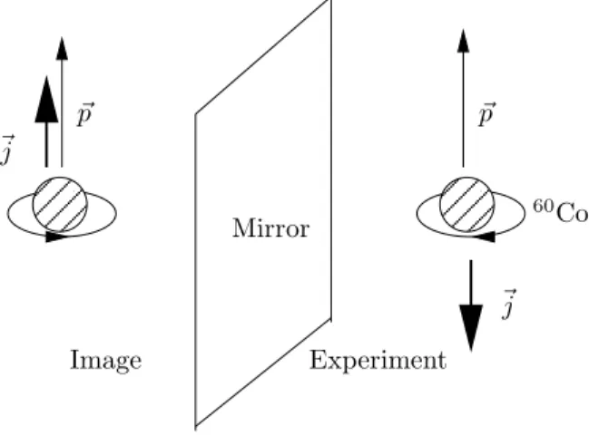 Figure 1.2: Parity non invariance in the Wu experiment. This experiment studies the decay of polarized