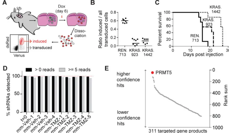 Figure 1. RNAi screen identifies PRMT5 as mediator of GBM growth