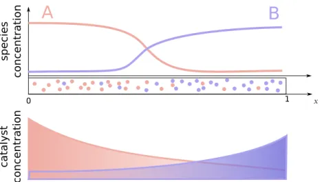 Figure 1. Our model describes the dynamics of two species in competition (A, pink and B, violet) responding to monotonic resource distributions (bottom line), with reciprocally inhibitory activity and subject to local diffusion.