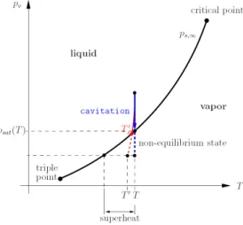 Figure I.11 – Cavitation non isotherme