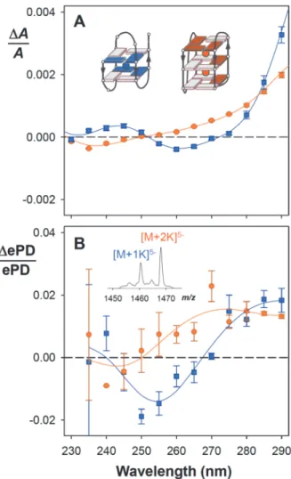 Fig. 3. Application of mass-resolved circular dichroism to a mixture of conformations adopted  by the human telomeric DNA sequence dTAGGG(TTAGGG) 3 