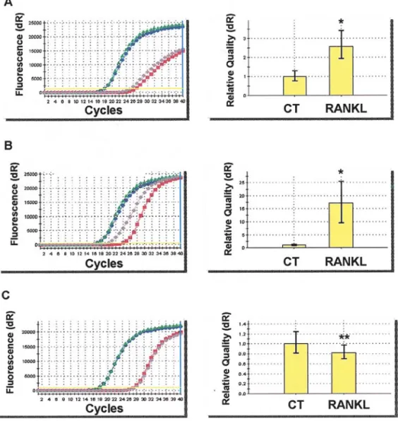 Figure 2. Representative results of quantitative real-time RT-PCR (qRT-PCR). To confirm the results of cDNA microarray analysis, 10% of RANKL-modulated genes were measured by qRT-PCR as described in Materials and methods