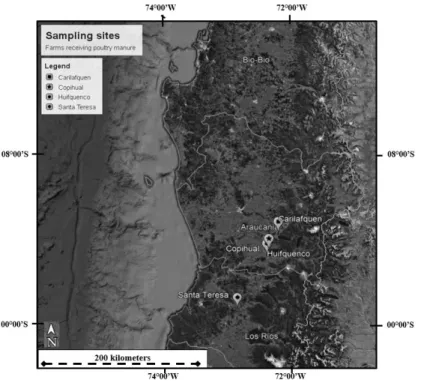 Figure 5. Localization of the sampling sites in the Southern Chilean pastures amended  several years with composted poultry manure