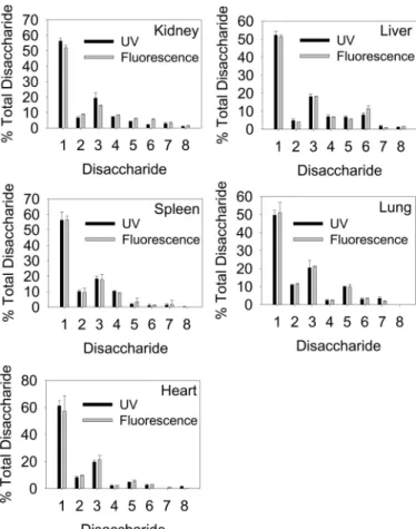 FIGURE 6. Comparison of UV versus fluorescent disaccharide analysis of RIP-extracted HS from multiple mouse tissues