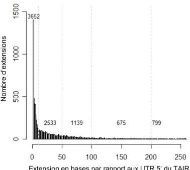 Figure 5-2 : Extension des unités de transcription en 5’ par rapport aux annotations du TAIR
