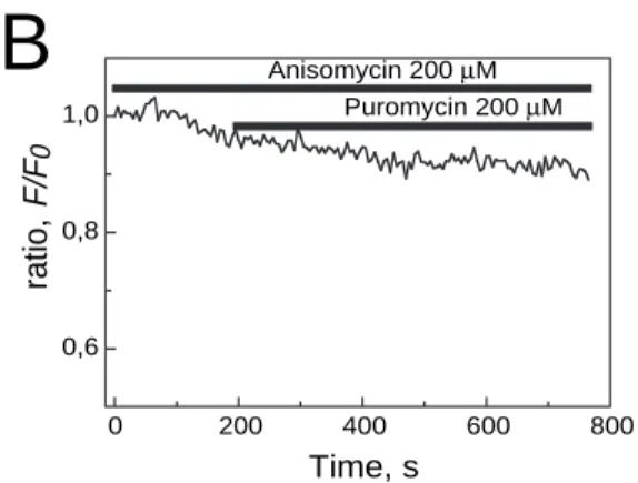 Fig. 3. Anisomycin blocks the calcium leak from intracellular stores induced by puromycin