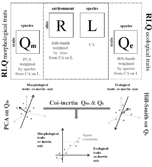 Figure 1. Flow diagram of the different steps to do statistical analyses 