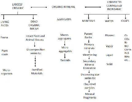 Figure 1. Ecological classification of soil components Source: (Lavelle and Spain, 2001)  