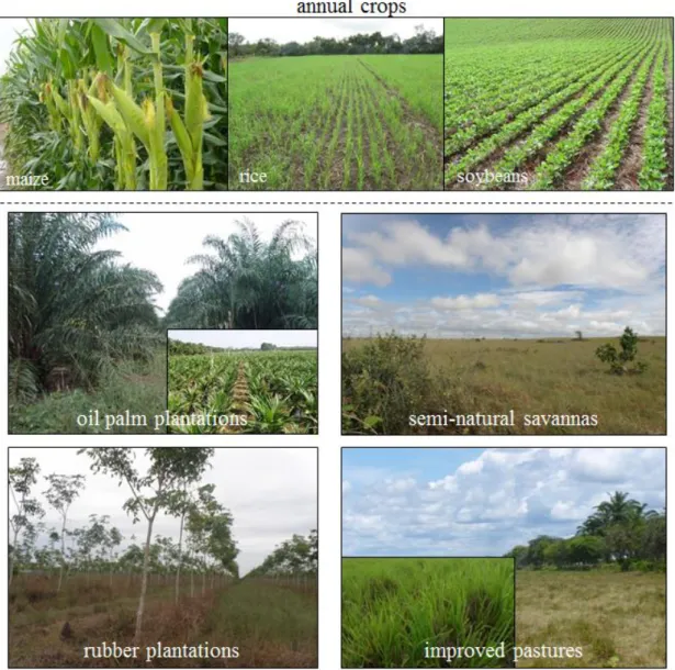 Figure 7. Types of land uses sampled in the Llanos region.  
