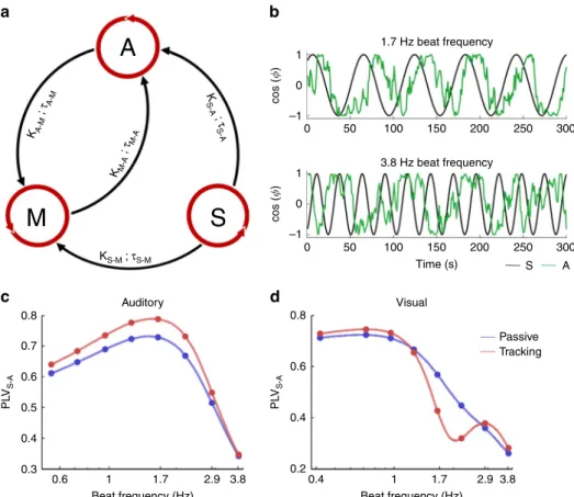 Fig. 5 A model of coupled oscillators to generalise the results. a Model of three delay-coupled phase oscillators approximating the selective coupling between the external beat (stimulus S), sensory-speci ﬁ c temporal attention (A), and natural motor dynam