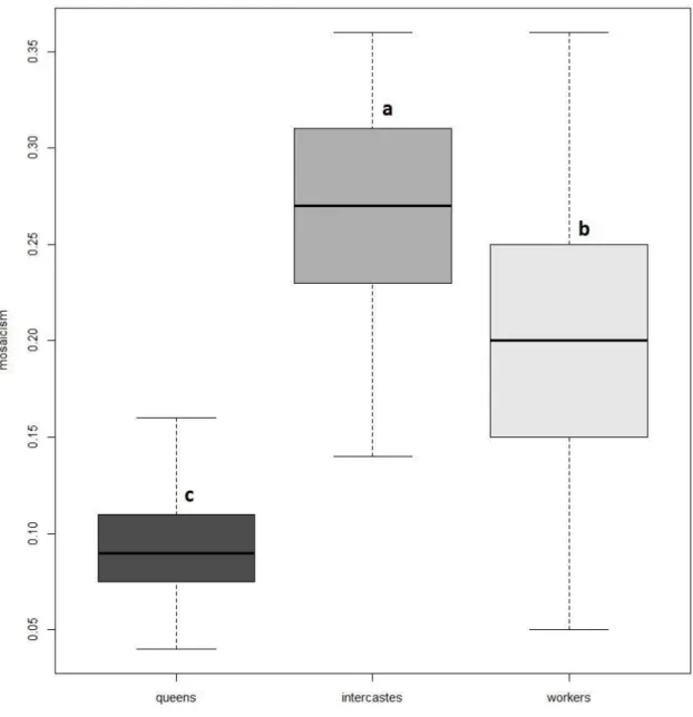 Figure  2.4:  Comparison  of  the  level  of  mosaicism  distribution  between  groups  (dark  grey:  queens; 