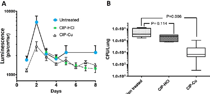 Figure 7: In vivo efficacy in a P. aeruginosa  chronic lung infection model. Rats were infected  with 6 x 10 6  CFU/animal, then treated on days 4 and 6 with CIP-Cu or CIP-HCl, and the lungs  were  harvested  on  day  8