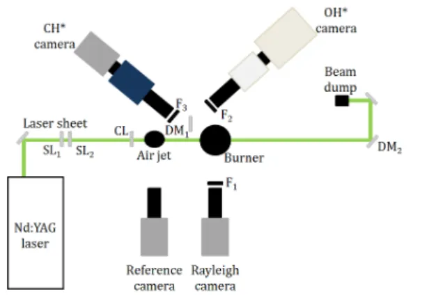 Figure 1: Optical configuration. CL: cylindrical lens, DM x : dichroic mirror, SL x : spherical lens, F x : bandpass filter.