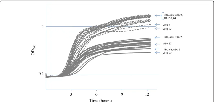 Figure 2 Growth of twenty-one E. coli belonging to different pathovars and phylogenetic groups