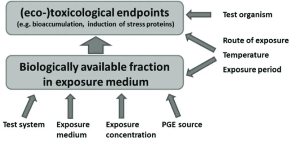 Figure  9:  Possible  experimental  factors  affecting  the  biologically  available  fraction  and   (eco-)toxicological endpoints of PGE in aquatic test systems (Zimmermann and Sures, 2018)