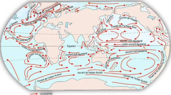 Figure 4 : Circulation des courants marins de surface dans l’océan mondial 