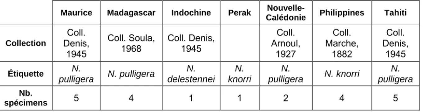 Tableau 4 : Spécimens des collections historiques du MNHN ayant servi dans l'analyse  morphométrique