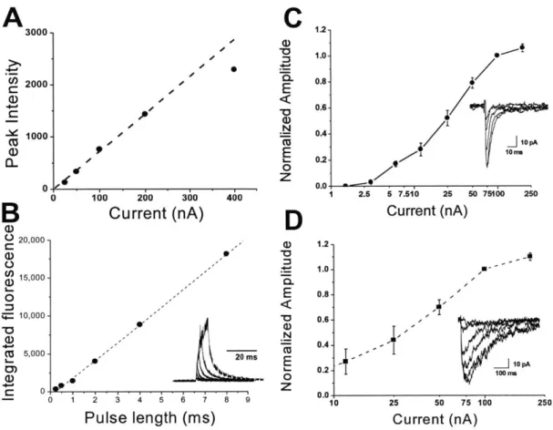 Figure  3.3  Linearity  of iontophoresis  ejection.  A  Peak  fluorescence  intensity  during  the  first  2  ms  after ejection, at  a point 0.5rn  in  front  of the pipette,  from  raw traces  in  Figure  3.2B