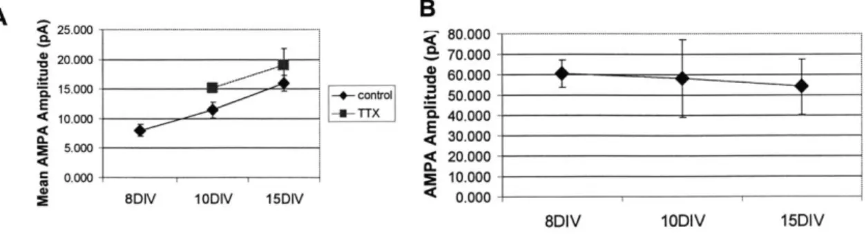 Figure  4.4  A  Average  AMPA-mediated  mEPSC  size  measured  from  8-15  DIV,  showing  a  doubling  in mean  event  size