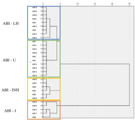 Figure 2. Dendogram using the Ward’s method on the ABI group 