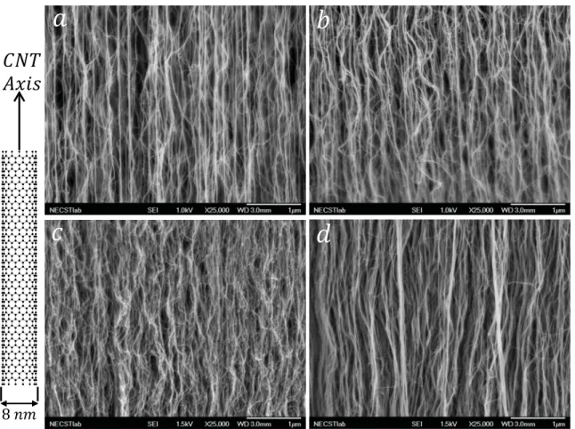 Fig. 2 HRSEM micrographs of (a) 1.0 volume %; (b) 6.0 volume %; (c) 10.6 volume %; (d) 20.0 volume % CNT forests