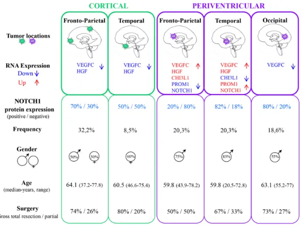 Figure 4: Main clinical and molecular features of the five tumor locations. 