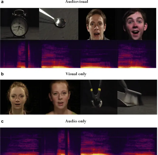 Fig. 1 e Examples of (a) audiovisual, (b) visual and (c) auditory stimuli. Stimuli for the audiovisual localiser are available at http://vnl.psy.gla.ac.uk/resources.