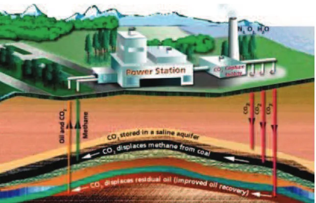 Figure 2 : Les différents niveaux du processus de stockage souterrain du CO 2 , depuis le captage, le  traitement et l’injection dans les différents  réservoirs  identifiés