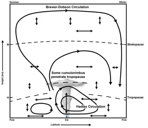 Figure 1. 9 : Schéma traduisant la circulation des masses d’air entre les différents réservoirs de la stratosphère