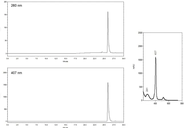 Figure S6. HPLC trace of AuMA with detection at 260 nm (upper trace) and at 407 nm (Soret band)  (lower  trace)