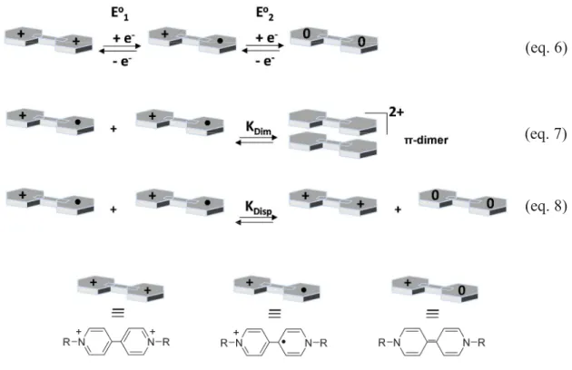 Figure 7: Schematic representation of the processes involved in the reduction of viologen