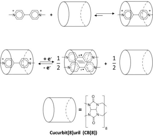 Figure  12: Schematic  illustration  for  the  inclusion  of  DMV 2+   and  DMV +•   in  cucurbit[8]uril  CB[8] to form the inclusion complexes: DMV 2+ -CB[8]  and (DMV +• ) 2 -CB[8] respectively